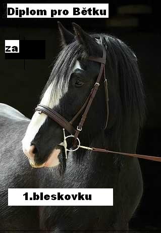 Pro Bětku.jpg