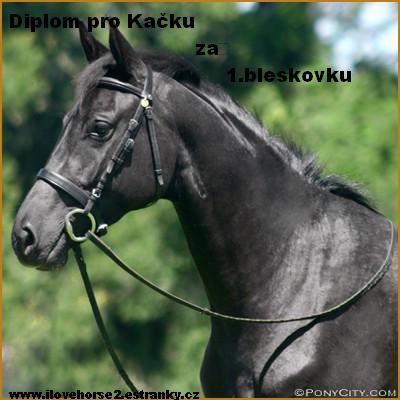 Pro Kačku.jpg