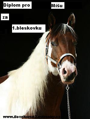 Pro míšu.jpg