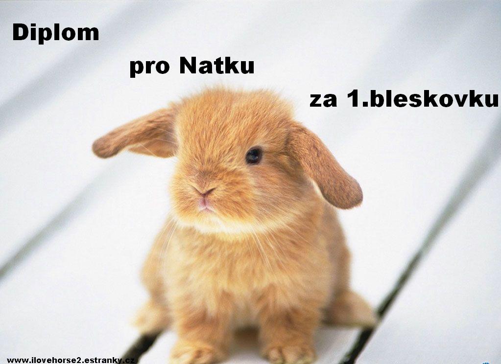 Pro Natku 2.jpg